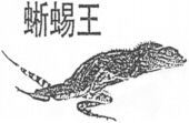  XI YI WANG. 