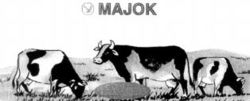 MAJOK