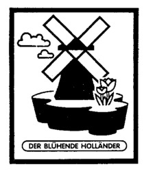 DER BLÜHENDE HOLLÄNDER