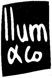 llum & Co