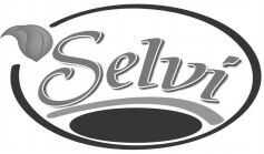 Selvi