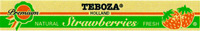 TEBOZA HOLLAND Premium NATURAL Strawberries FRESH