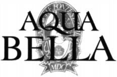 AQUA BELLA BENEDICITE FONTES DOMINO MDC