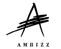 AMBIZZ