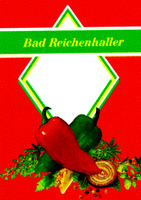 Bad Reichenhaller
