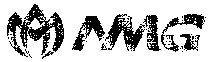 NMG