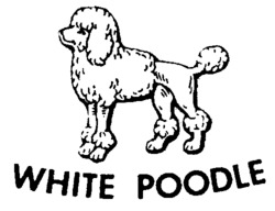 WHITE POODLE