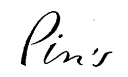 Pin's