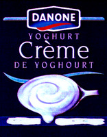 DANONE YOGHURT Crème DE YOGHOURT