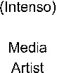 (Intenso) Media Artist