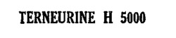 TERNEURINE H 5000