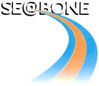 SE@BONE