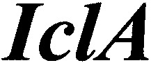 IclA