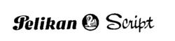Pelikan Script