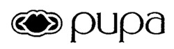 pupa