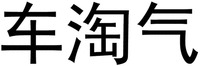 CHE TAO QI