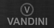 V VANDINI