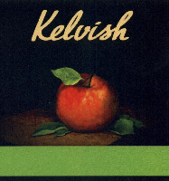 Kelvish