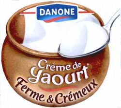 DANONE Crème de Yaourt Ferme & Crémeux