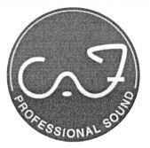 PROFESSIONAL SOUND