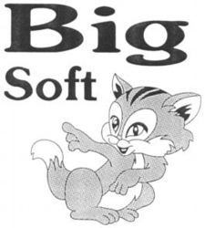 Big Soft