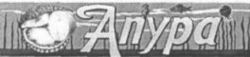 Anypa