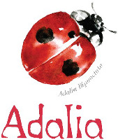 Adalia Bipunctata