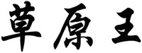  CAO YUAN WANG 