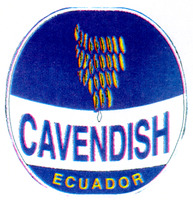 CAVENDISH ECUADOR