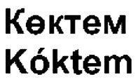 Kóktem