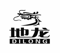 DILONG