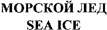SEA ICE