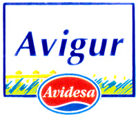 Avigur Avidesa