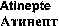 Atinepte