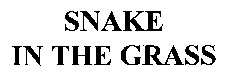 SNAKE IN THE GRASS