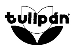 tulipán