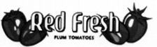 Red Fresh PLUM TOMATOES