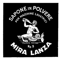 SAPONE IN POLVERE