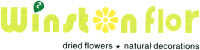 Winston flor dried flowers natural decorations