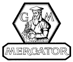 GM MERCATOR