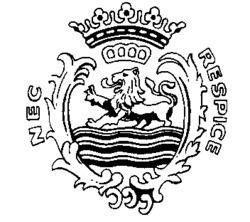 NEC RESPICE