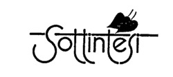 Sottintesi