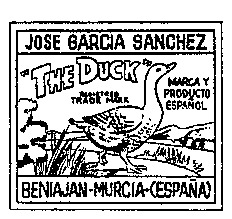 THE DUCK