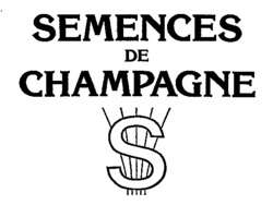 SEMENCES DE CHAMPAGNE