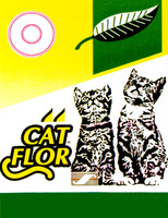 CAT FLOR