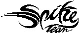 Spike Team