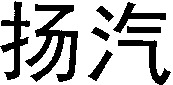 YANG QI.