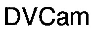 DVCam