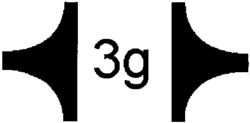 3g
