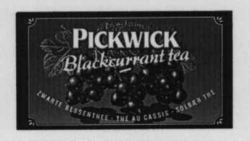 PICKWICK Blackcurrant tea